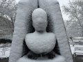 Elliott-Kaufman_Anon09