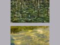 Water-Pictures-Mailing-copy
