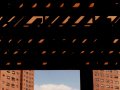 EKaufman_Broadway05