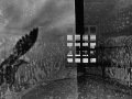 Elliott_Kaufman_R13-R
