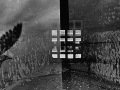 Elliott_Kaufman_R13_R