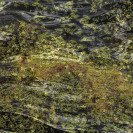 E.Kaufman_WaterPictures-04