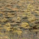 E.Kaufman_WaterPictures-07