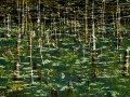 E.Kaufman_WaterPictures-05