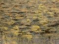 E.Kaufman_WaterPictures-07