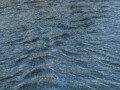 E.Kaufman_WaterPictures-10